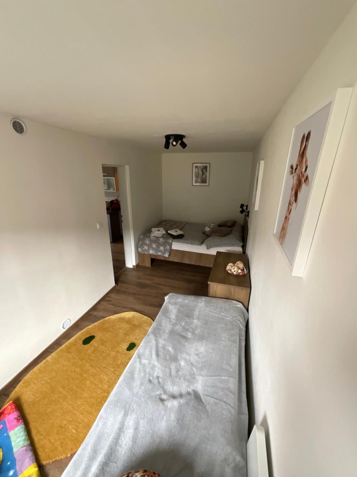 Apartment Owl Kořenov 外观 照片